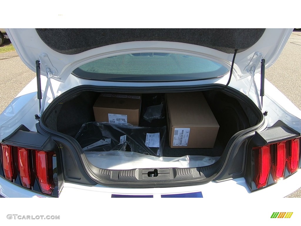 2020 Ford Mustang Shelby GT500 Trunk Photo #139754762
