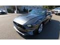 Magnetic - Mustang GT Premium Convertible Photo No. 3