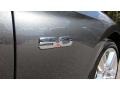 Magnetic - Mustang GT Premium Convertible Photo No. 25