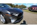 Magnetic - Mustang GT Premium Convertible Photo No. 27
