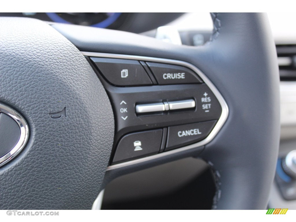 2021 Hyundai Palisade SEL Beige Steering Wheel Photo #139759891