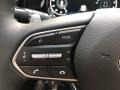 Black Steering Wheel Photo for 2021 Hyundai Palisade #139761448