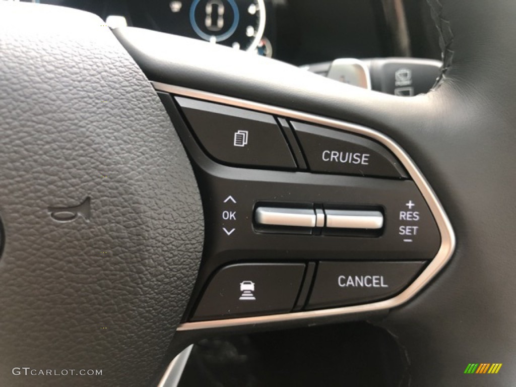 2021 Hyundai Palisade Limited AWD Black Steering Wheel Photo #139761463