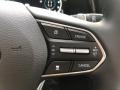 Black Steering Wheel Photo for 2021 Hyundai Palisade #139761463