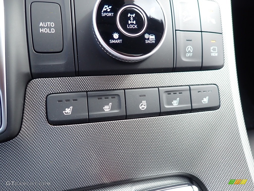 2021 Hyundai Palisade Limited AWD Controls Photo #139761934