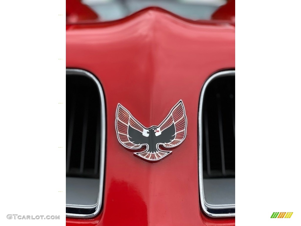 1974 Pontiac Firebird Formula 350 Marks and Logos Photo #139776375