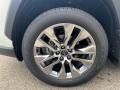 2021 Toyota RAV4 Limited AWD Wheel and Tire Photo