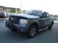 Sterling Gray Metallic - F150 STX SuperCab 4x4 Photo No. 8