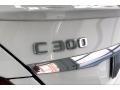 Polar White - C 300 Sedan Photo No. 27