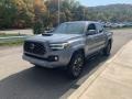 Cement - Tacoma TRD Sport Double Cab 4x4 Photo No. 37