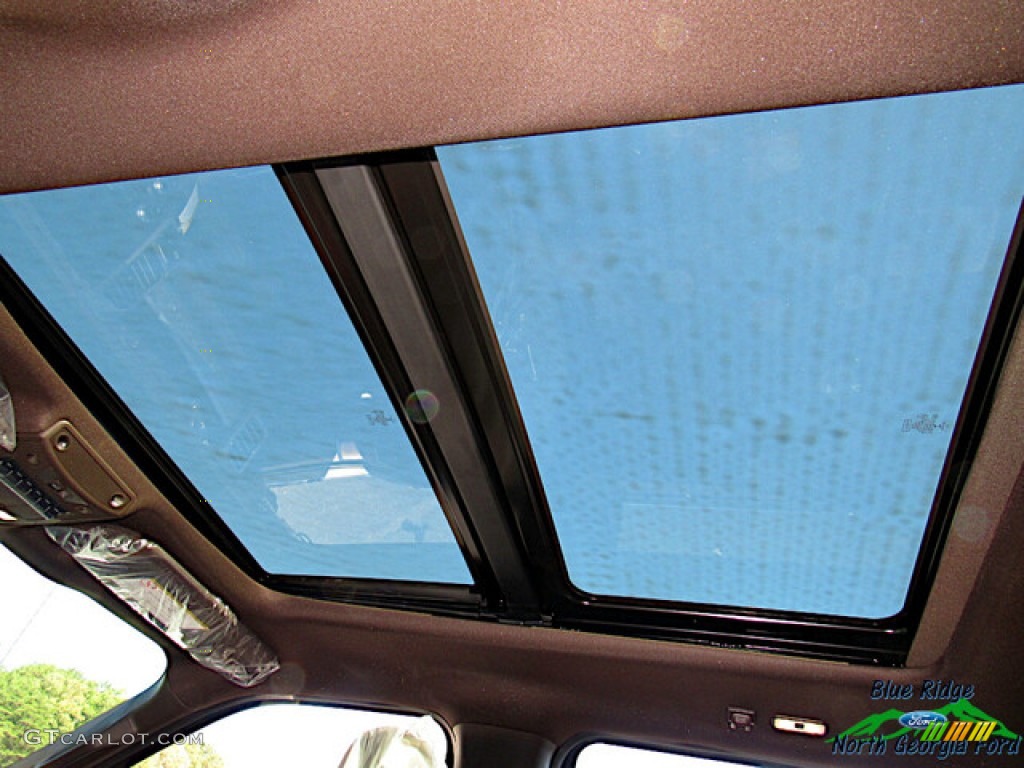 2020 F450 Super Duty King Ranch Crew Cab 4x4 - Agate Black / King Ranch Java photo #29