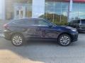 Blueprint - Venza Hybrid Limited AWD Photo No. 40
