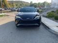 Blueprint - Venza Hybrid Limited AWD Photo No. 41