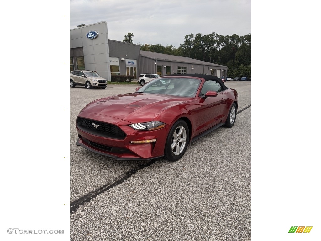 2019 Mustang EcoBoost Convertible - Ruby Red / Ebony photo #1
