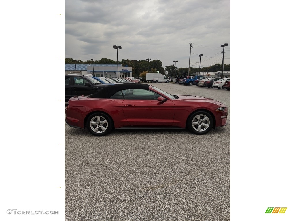 2019 Mustang EcoBoost Convertible - Ruby Red / Ebony photo #4