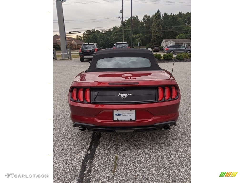 2019 Mustang EcoBoost Convertible - Ruby Red / Ebony photo #6