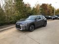 Nebula Gray Pearl 2020 Lexus UX 250h AWD
