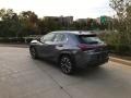 Nebula Gray Pearl - UX 250h AWD Photo No. 4