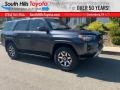 Magnetic Gray Metallic - 4Runner TRD Off Road Premium 4x4 Photo No. 1