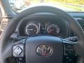 Magnetic Gray Metallic - 4Runner TRD Off Road Premium 4x4 Photo No. 9