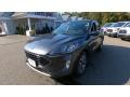 Magnetic Metallic - Escape Titanium Hybrid 4WD Photo No. 3