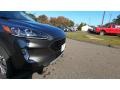 Magnetic Metallic - Escape Titanium Hybrid 4WD Photo No. 28