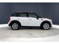 Light White - Countryman Cooper Photo No. 14
