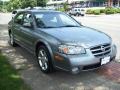 Polished Titanium - Maxima SE Photo No. 4