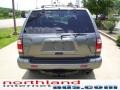 2004 Platinum Metallic Nissan Pathfinder LE Platinum 4x4  photo #3