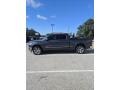 2019 Granite Crystal Metallic Ram 1500 Limited Crew Cab 4x4  photo #8