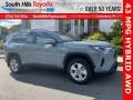 Lunar Rock - RAV4 XLE AWD Hybrid Photo No. 1