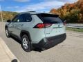 Lunar Rock - RAV4 XLE AWD Hybrid Photo No. 2