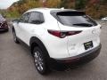 Snowflake White Pearl Mica - CX-30 Premium AWD Photo No. 6