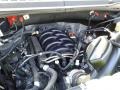  2020 F150 Lariat SuperCrew 4x4 5.0 Liter DOHC 32-Valve Ti-VCT E85 V8 Engine