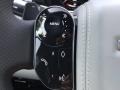 Cloud/Ebony Steering Wheel Photo for 2020 Land Rover Range Rover Evoque #139881207