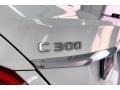 Polar White - C 300 Sedan Photo No. 31