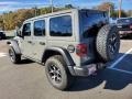 Sting-Gray - Wrangler Unlimited Rubicon 4x4 Photo No. 6