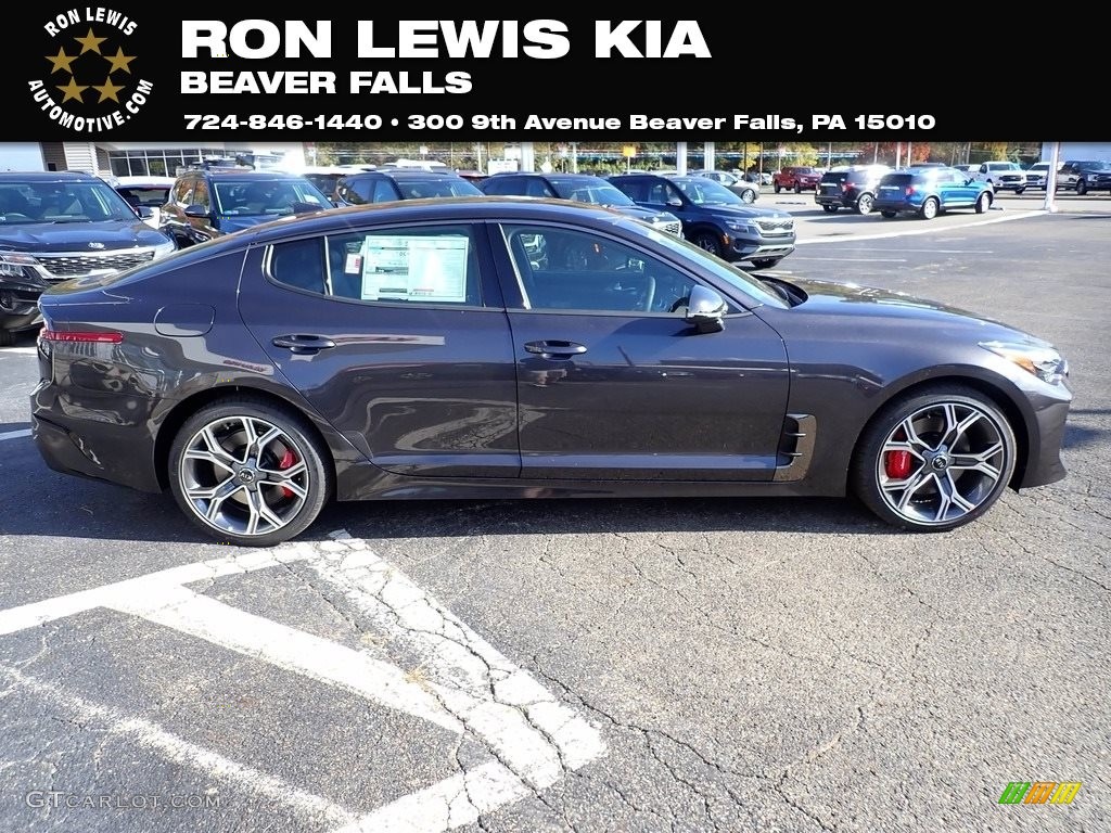 Panthera Metal Kia Stinger