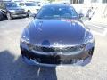 2021 Panthera Metal Kia Stinger GT AWD  photo #5