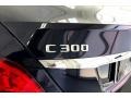 Lunar Blue Metallic - C 300 Sedan Photo No. 31