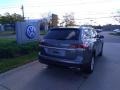 Platinum Gray Metallic - Atlas S 4Motion Photo No. 2