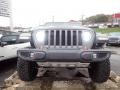 Sting-Gray - Gladiator Mojave 4x4 Photo No. 11