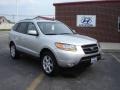 Bright Silver - Santa Fe SE 4WD Photo No. 1