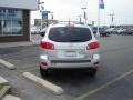 Bright Silver - Santa Fe SE 4WD Photo No. 6