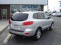 Bright Silver - Santa Fe SE 4WD Photo No. 7
