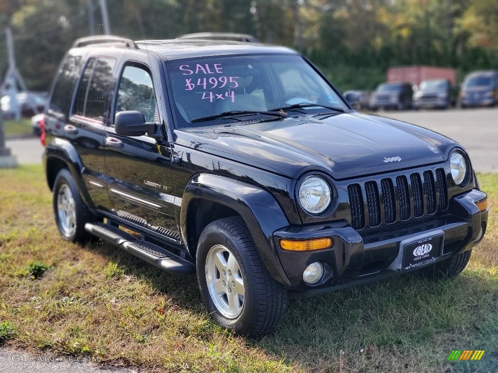 2002 Liberty Limited 4x4 - Black / Taupe photo #2