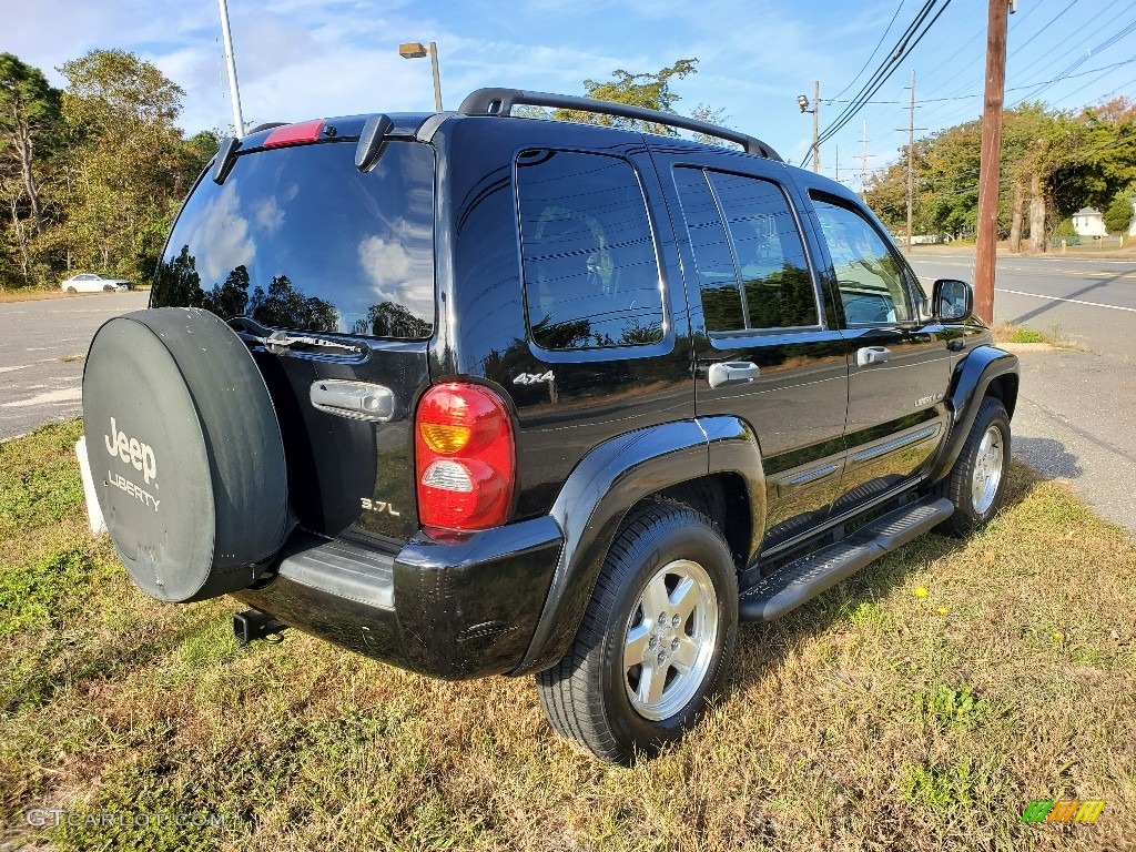 2002 Liberty Limited 4x4 - Black / Taupe photo #5