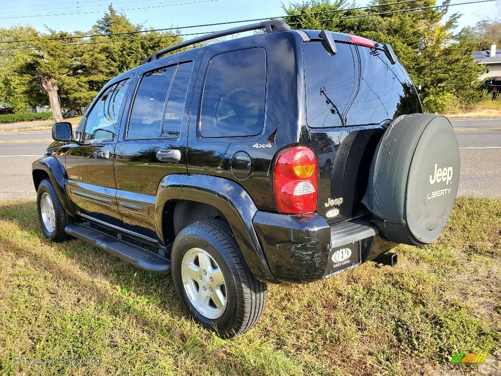 2002 Liberty Limited 4x4 - Black / Taupe photo #6