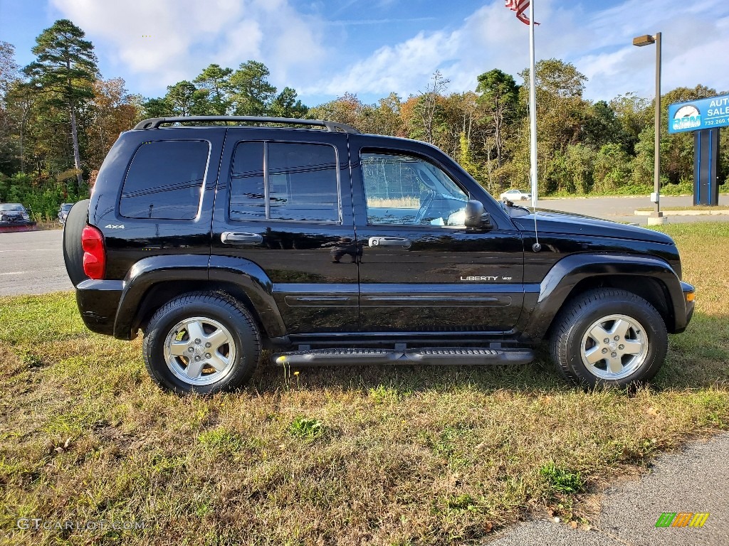 2002 Liberty Limited 4x4 - Black / Taupe photo #10