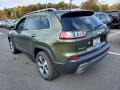 Olive Green Pearl - Cherokee Limited 4x4 Photo No. 6